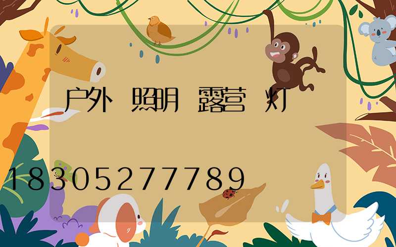 户外 照明 露营 灯